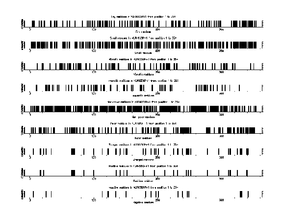 \begin{figure}\begin{center}\epsfig{figure=pepinfo1.ps,width=5in}\end{center}\end{figure}